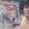 James Lobo - @james.lobo - TikTok