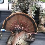 James Locklear - @james.locklear.7568596 - Instagram