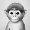 James Lockley - @james.lockley - TikTok