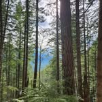 James loeb - @outdoorlivingjl - Instagram