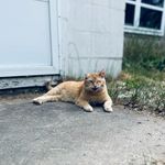 James Logston - @logstonjames - Instagram