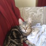 James Lohnes - @james_lohnes - Instagram