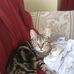 James Lohnes - Facebook