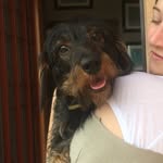 James & Lola - @jamesandlola - Instagram