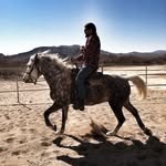 James Longenecker - @jlongg31 - Instagram