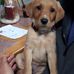 James Longhurst - Facebook