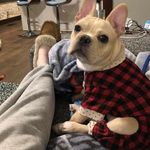 @james_lorusso_5051 - Instagram