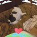 James Losasso - Facebook