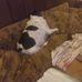 James Losasso - Facebook
