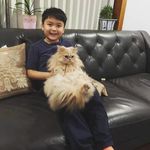 James Low - @jamesl0w - Instagram