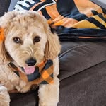 James Lowell Cochran - @jameslowellcochran - Instagram