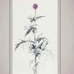 James_Lowell_Hall - @james_lowell_hall - Instagram