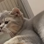 @james.loya_ - Instagram