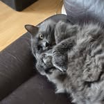 James Ludlow - @jamesl239beer - Instagram