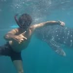 James Lung - @jftlung - Instagram