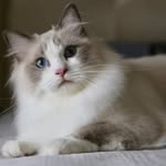 James Lung - @james.lung.3 - Instagram