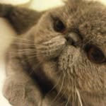 James Lung - @jameslung3038 - Instagram
