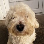 James lunt - @jluntyboi - Instagram