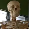 tryaghggim7 - @lykejames16 - TikTok