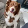 James - @james.lyonss - TikTok