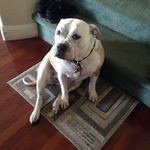 James Lyons - @insta_chunky - Instagram