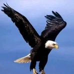 James Mable - Facebook