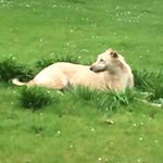 James MacEwan - @jamesmacewan - Instagram