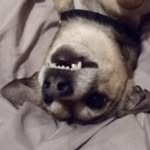 MaceyJames_Childress - @_macey_james_ - Instagram