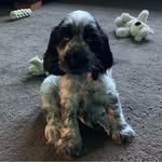 James MacGillivray - @jamesmacgillivray - Instagram