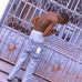 James Machala - Facebook