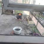 James Machuta - Facebook