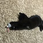 Reba James Macintosh - @reba.the.fish - Instagram