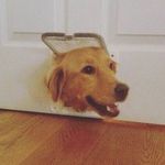 James Mackey - @james___mackey - Instagram