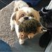 James Mackey - Facebook