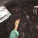 James MacPhail - @pinotboy66 - Instagram