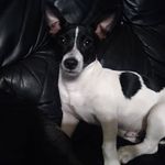 James Maddas - @jamesmaddas - Instagram