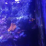 @james_madillin - Instagram