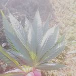 James Madore - @kmadjames645 - Instagram