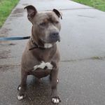 James maes - @james_maes_ - Instagram