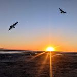 @james.magdaleno - Instagram