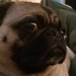 James Billiebird Osborne Maginness - @james_maginness - Instagram