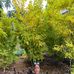 James Magna Ong - Facebook