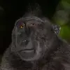 James Magnuson - @james.rm17 - TikTok