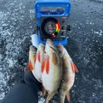 James Magnuson - Facebook