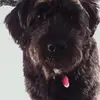 James Magnuson - @jamesmagnuson_8896 - TikTok