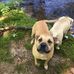 James Magoon - Facebook