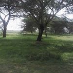 James Mainoya - @jamesmainoya - Instagram