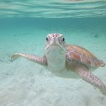 James Mains - @jamesalanmains - Instagram