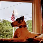 James Maish - @maishjames0513 - Instagram