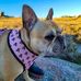 James Maloney - Facebook